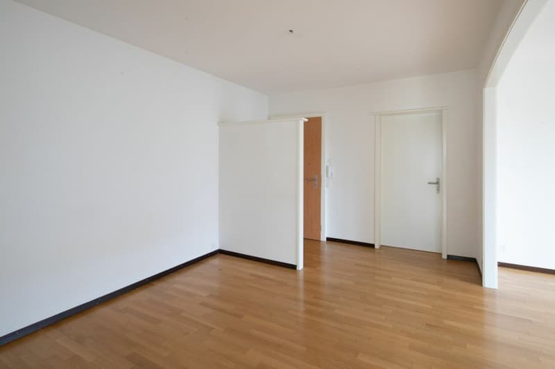 Zwischen Bahnhof SBB und Bruderholz - moderne 3 1 /2-Zimmerwohnung im 1.OG (4)