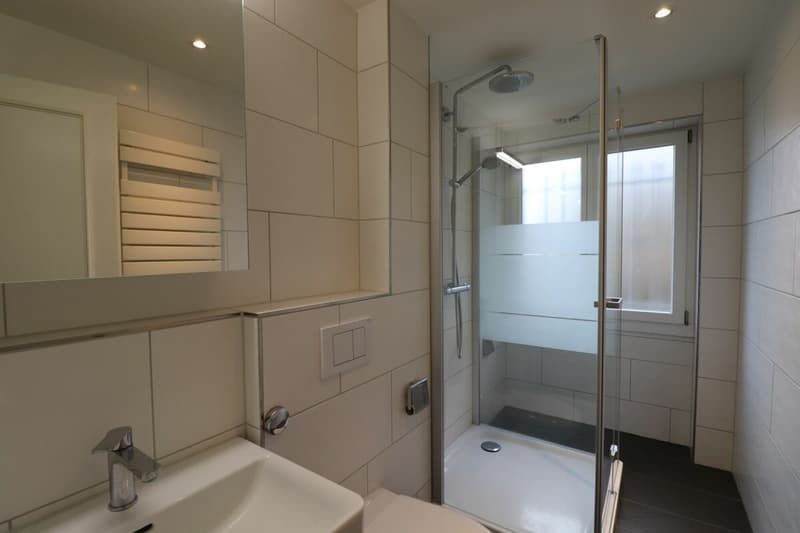 Zwischen Bahnhof SBB und Bruderholz - moderne 3 1 /2-Zimmerwohnung im 1.OG (10)