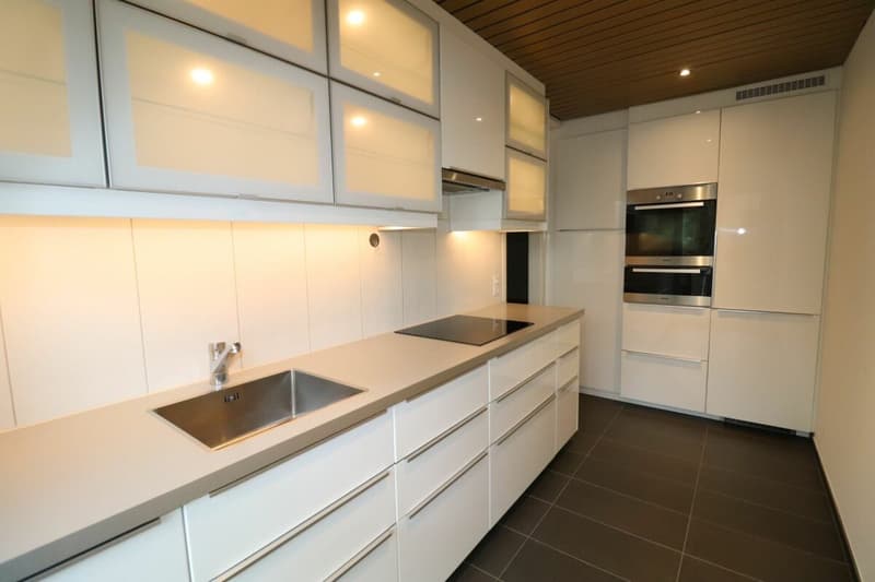 Zwischen Bahnhof SBB und Bruderholz - moderne 3 1 /2-Zimmerwohnung im 1.OG (2)