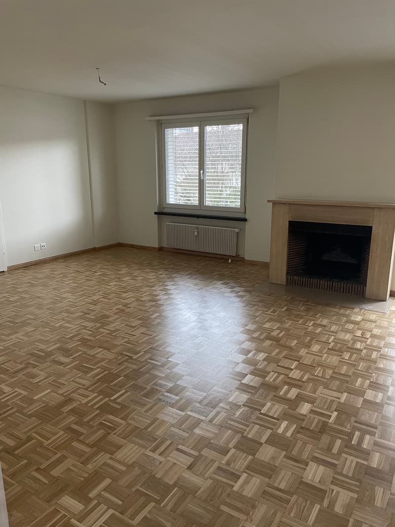Appartement 5 pièces à Reinach (1)