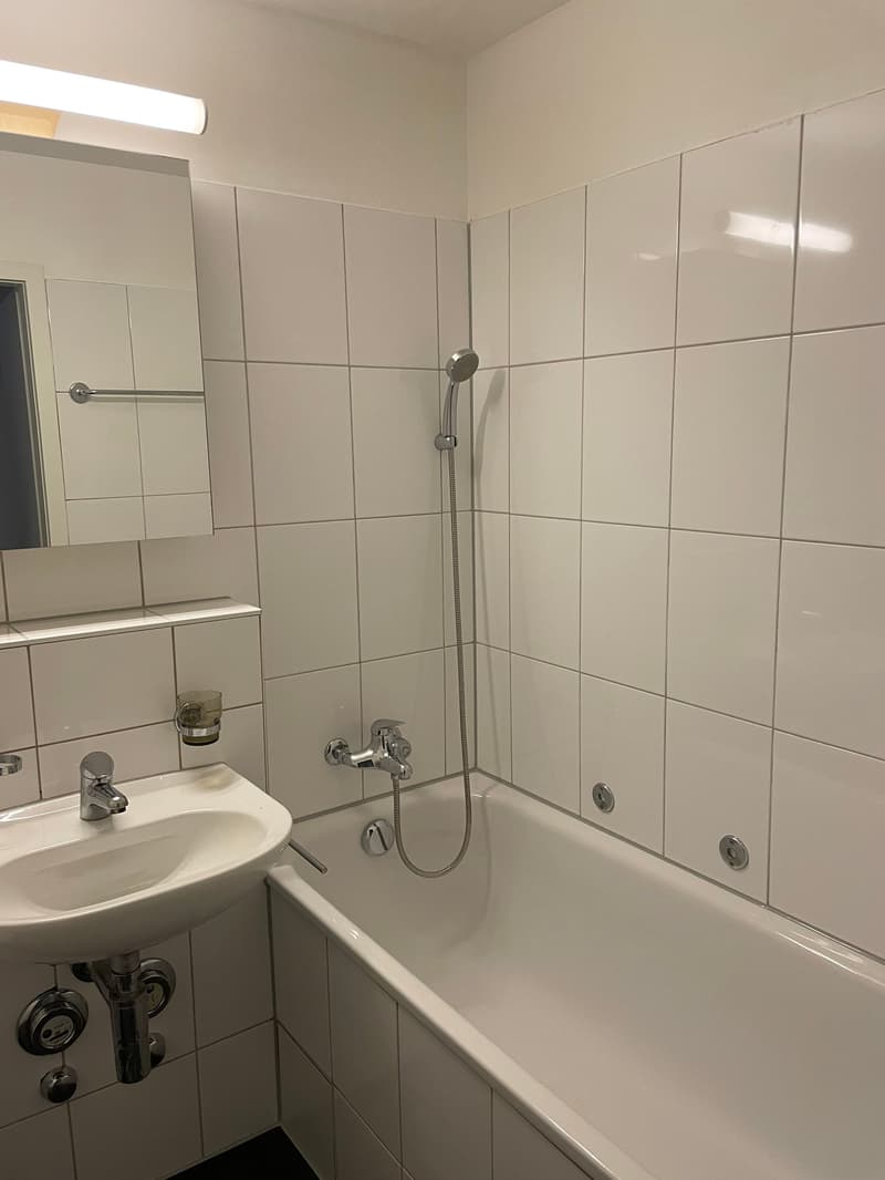 Appartement 5 pièces à Reinach (5)