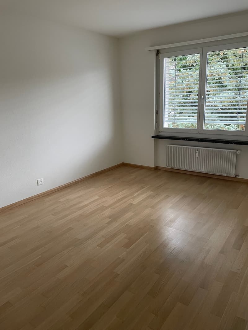Appartement 5 pièces à Reinach (4)