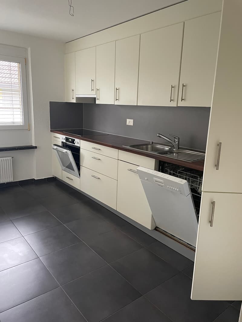 Appartement 5 pièces à Reinach (9)