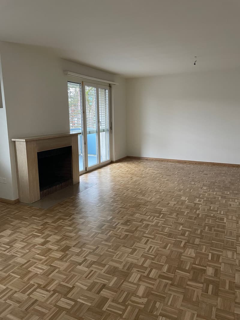 Appartement 5 pièces à Reinach (2)