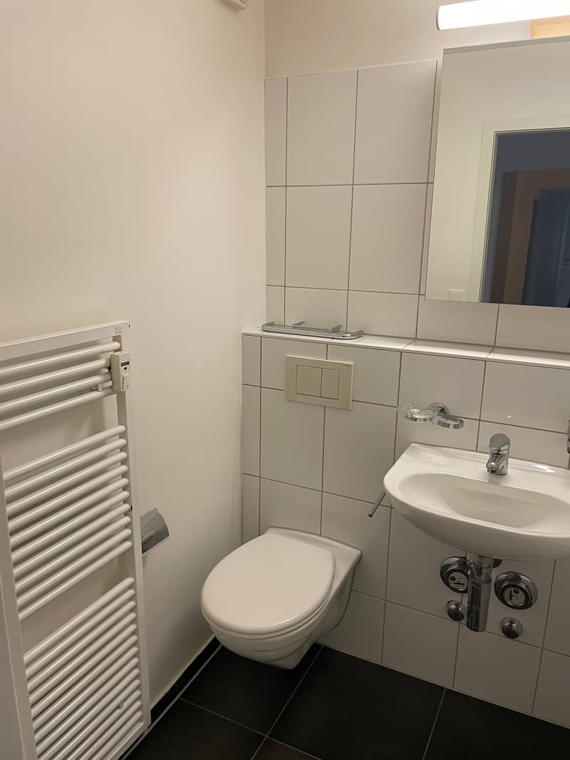 Appartement 5 pièces à Reinach (6)