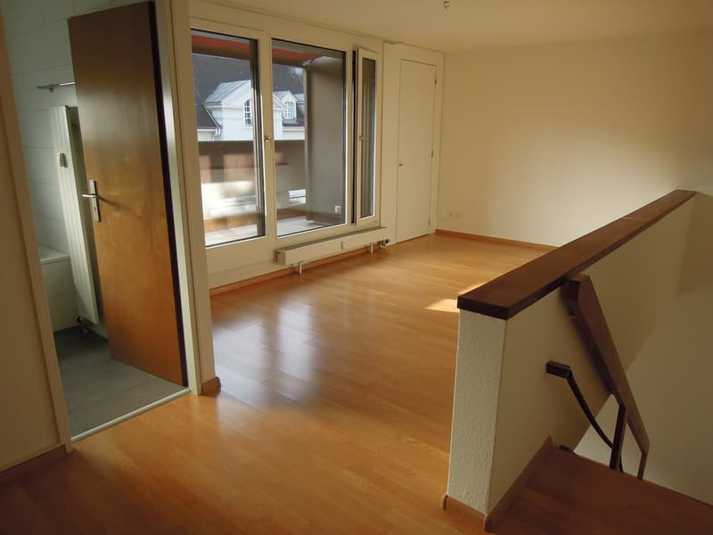 Appartamento a due livelli con 2 camere da letto nel quartiere Gellert (6)