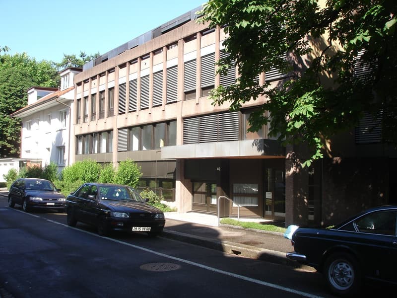 Appartamento a due livelli con 2 camere da letto nel quartiere Gellert (1)