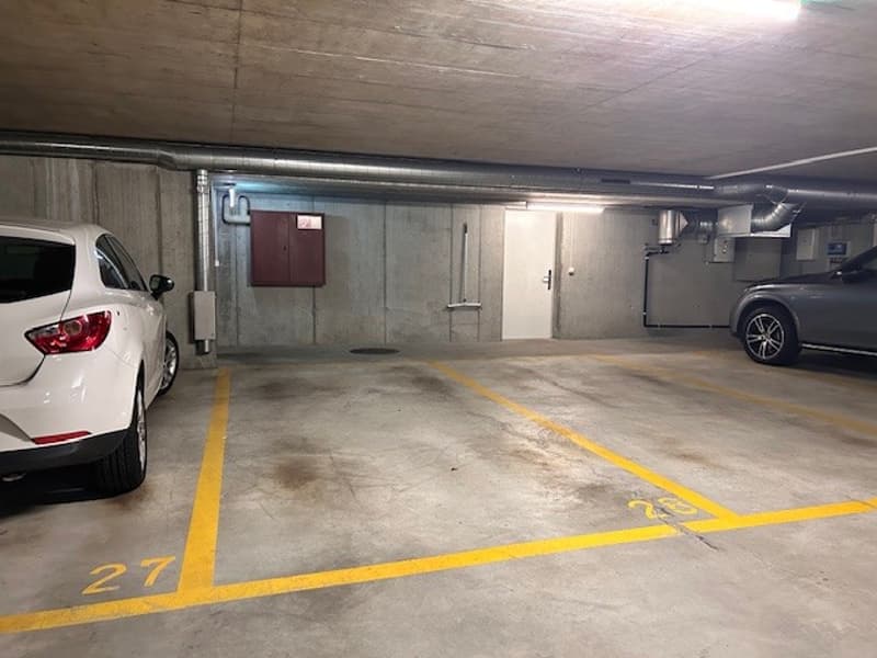sonnige 4.5-Zimmer-Attikawohnung mit Einstellhallenplatz (12)