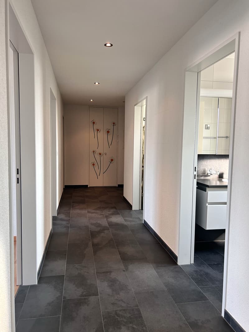sonnige 4.5-Zimmer-Attikawohnung mit Einstellhallenplatz (9)
