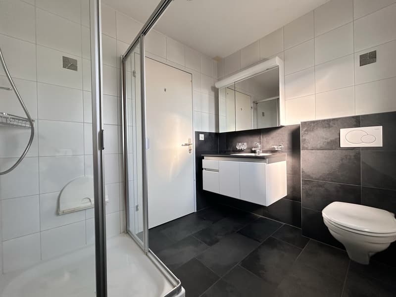 sonnige 4.5-Zimmer-Attikawohnung mit Einstellhallenplatz (5)