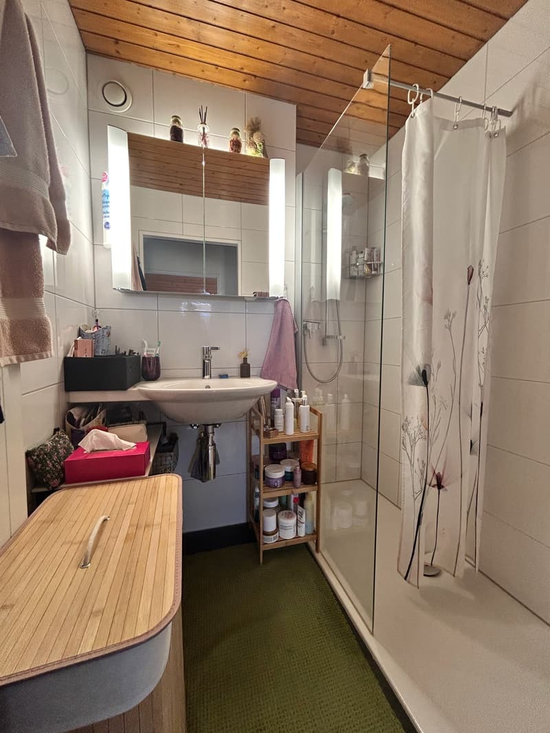 Charmante 2.5-Zimmer-Dachwohnung mit Garage (4)