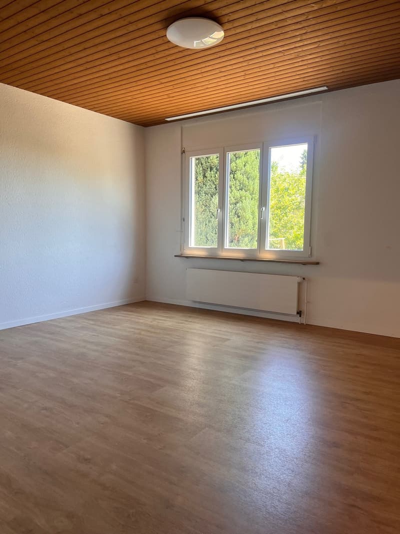 kleines 3.5-Zimmer-Einfamilienhaus mit Gartenanteil (4)
