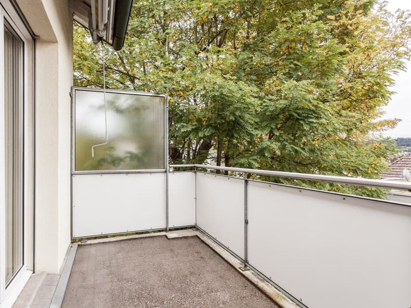 concrete balcony with railing, glass door, green tree