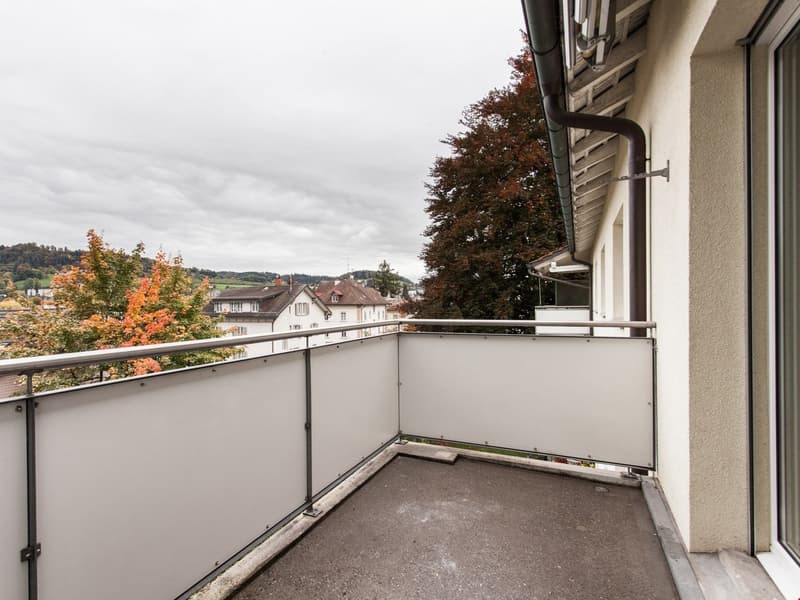 An outdoor balcony with metal railing and glass panel, surrounded by trees and overlooking the houses in the distance.