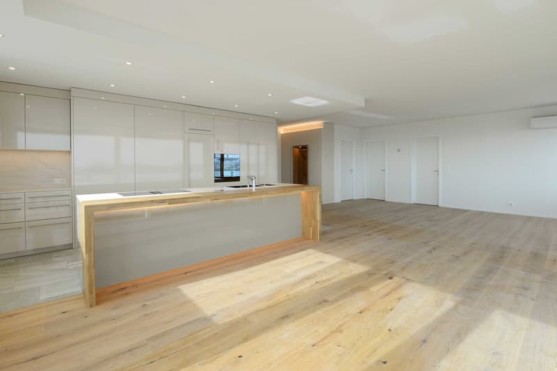 Moderne 2.5-Zimmer-Attikawohnung mit grosser Terrasse in Egnach (2)