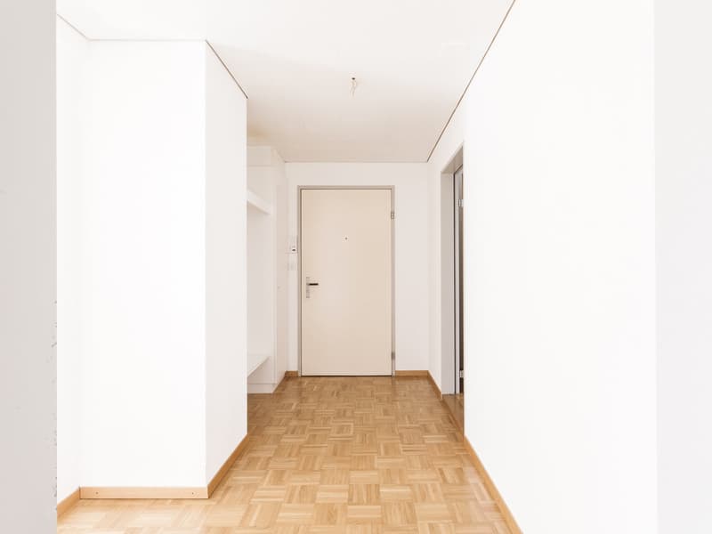 Empty hallway, white walls, wooden parquet floor, door, shelves