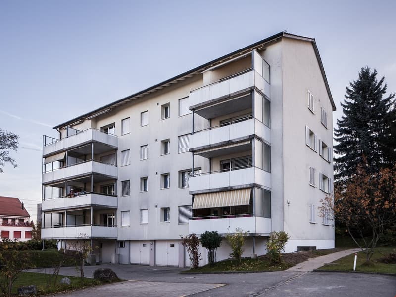 Modern 2.5-room apartment with balcony in St. Gallen (11)