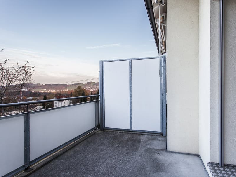 Appartamento luminoso e pratico di 3 camere (9)
