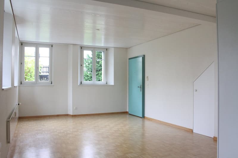 Charmant appartement 1 pièce pour célibataires (1)