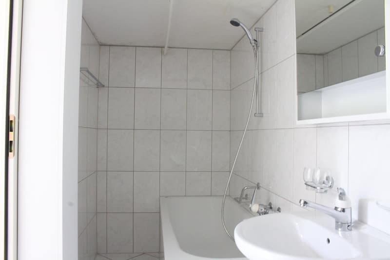 Charmant appartement 1 pièce pour célibataires (4)