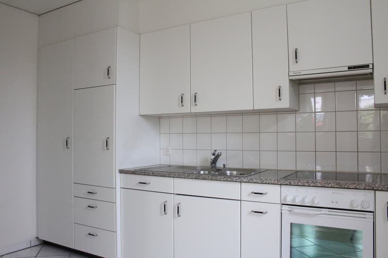 Charmant appartement 1 pièce pour célibataires (3)