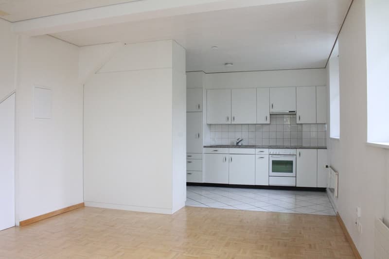Charmant appartement 1 pièce pour célibataires (2)