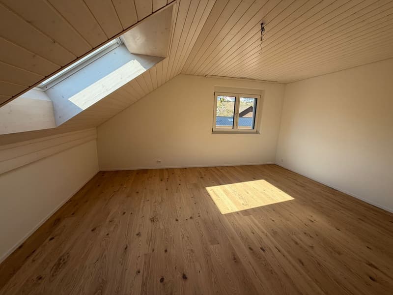 New Build - 4.5-Room Attic Apartment (4)