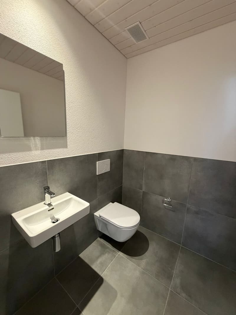 New Build - 4.5-Room Attic Apartment (5)