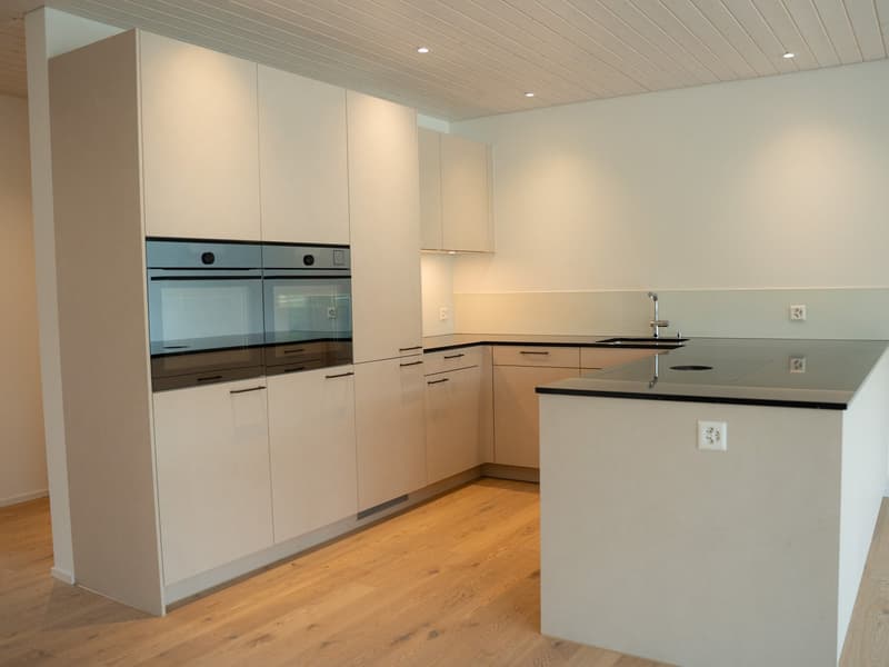 Construction neuve - Appartement mansardé de 3½ pièces lumineux (2)