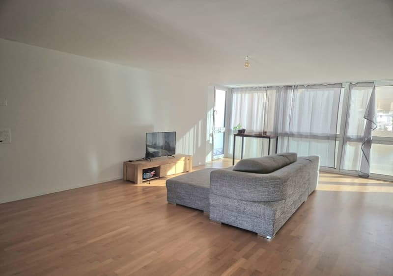 zentrale und moderne 4.5-Zimmer-Wohnung (7)