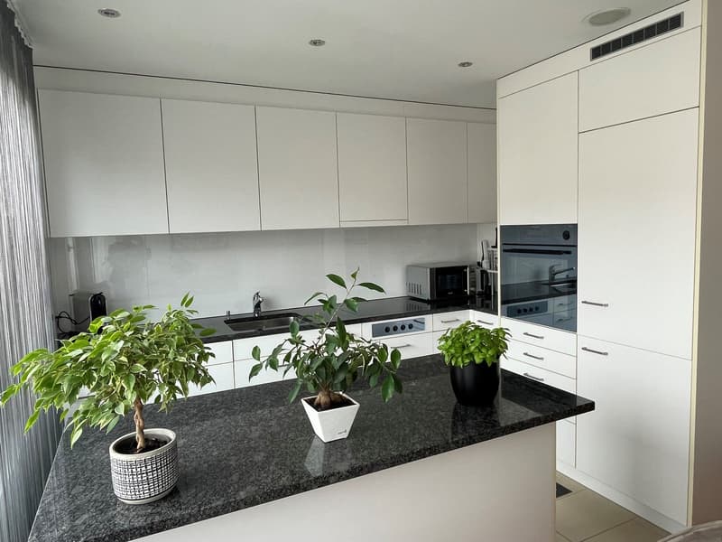 zentrale und moderne 4.5-Zimmer-Wohnung (1)