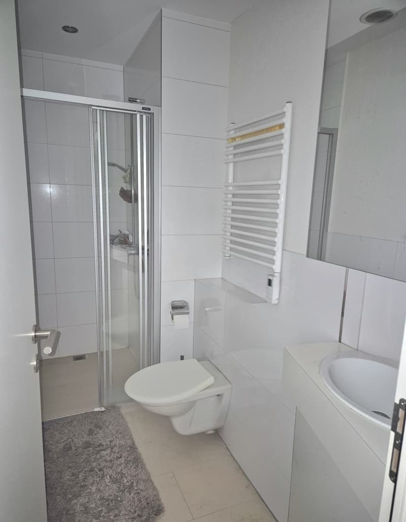 zentrale und moderne 4.5-Zimmer-Wohnung (5)