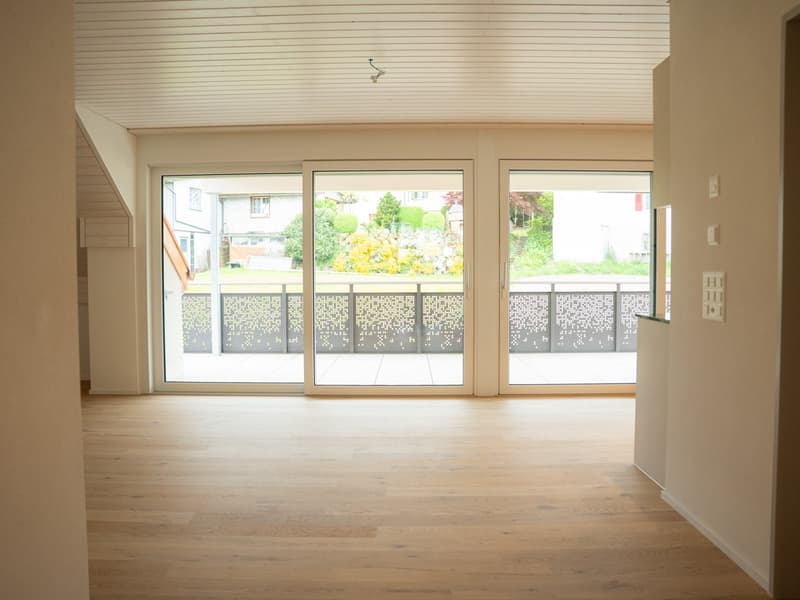 Neue, sonnige Attika-Wohnung mit hochwertigem Ausbaustandart (2)