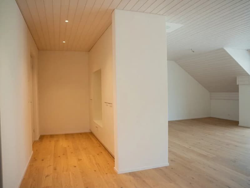 Neue, sonnige Attika-Wohnung mit hochwertigem Ausbaustandart (6)