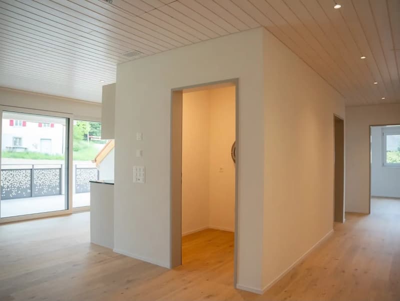 Neue, sonnige Attika-Wohnung mit hochwertigem Ausbaustandart (4)