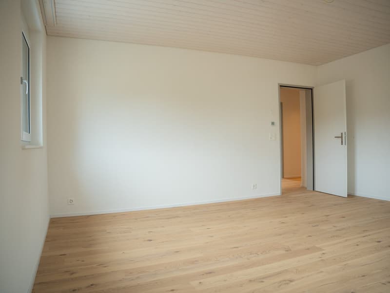Neue, sonnige Attika-Wohnung mit hochwertigem Ausbaustandart (8)
