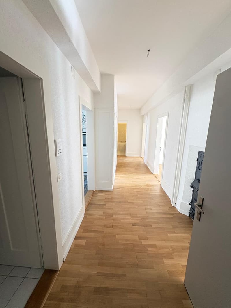 Art Nouveau apartment in the heart of Seefeld (9)