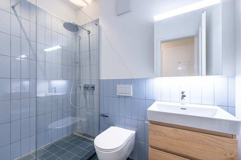 Erstbezug! Traumhafte 3.5-Zimmer-Wohnung (2.OG) im Kreis 3 (7)