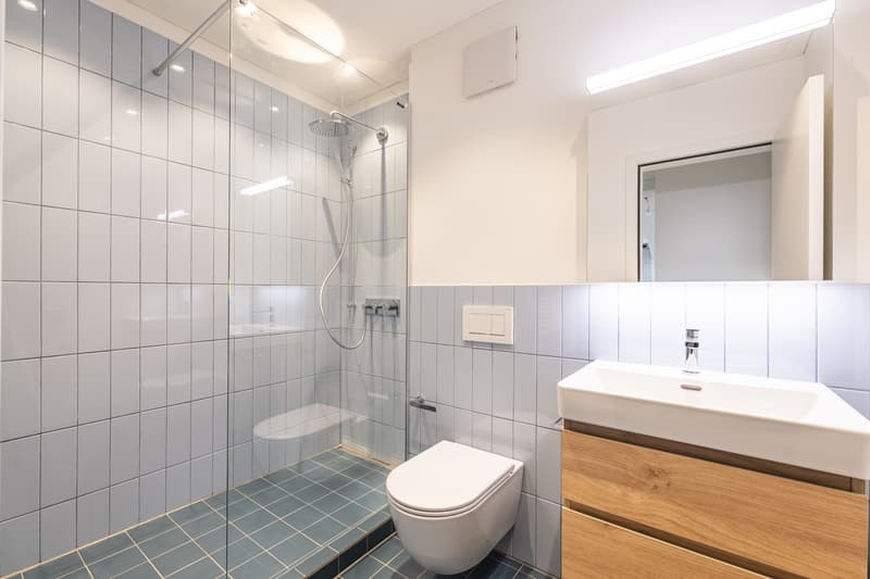 Erstbezug! Traumhafte 2-Zimmer-Wohnung im Kreis 3 mit exklusiver Dachterrasse (6)