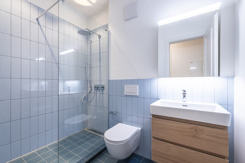 Erstbezug! Traumhafte 3.5-Zimmer-Wohnung (1. OG) im Kreis 3 (5)