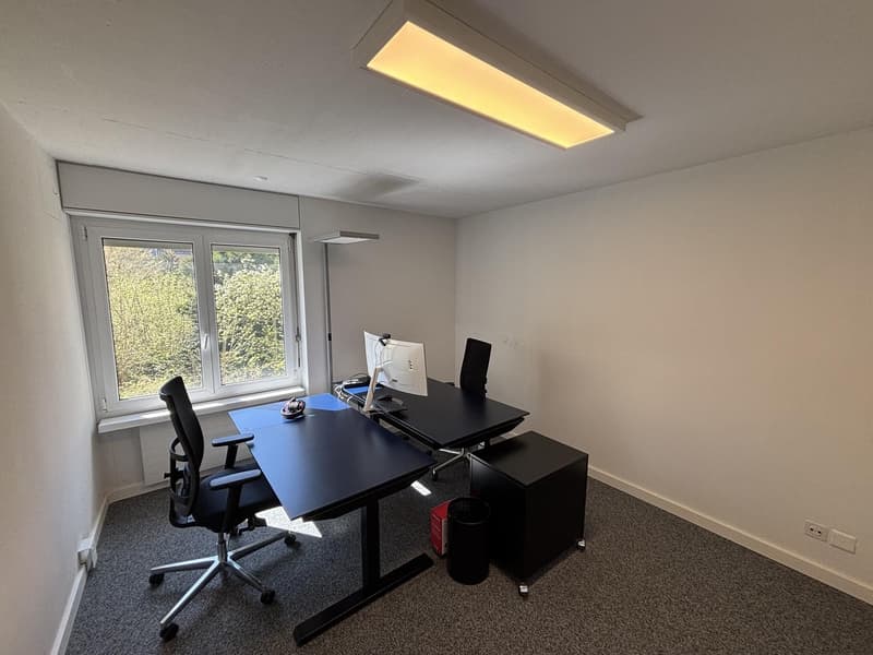 Spacious office/practice rooms near Hegibachplatz (4)