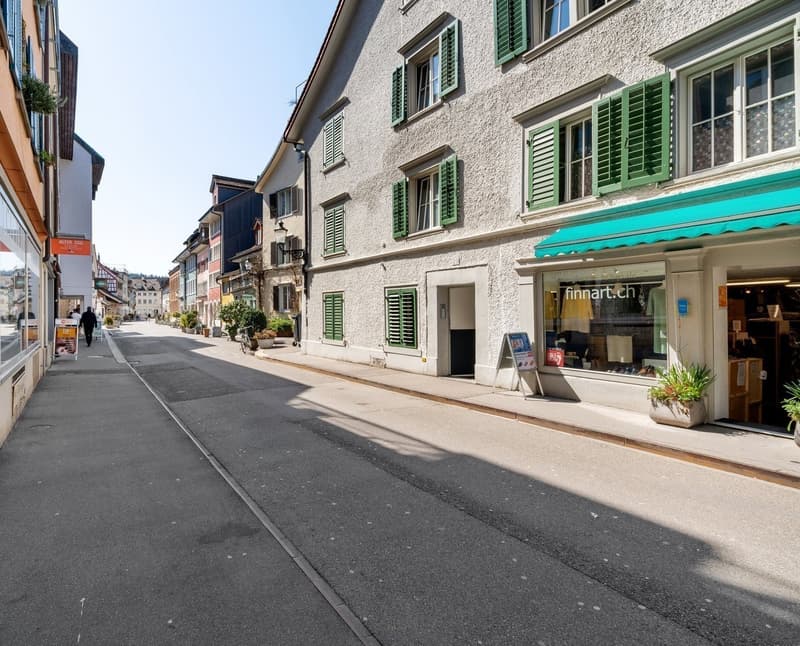 Appartamento arredato nel centro storico di Winterthur (1)