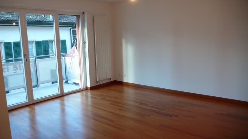 Living in the heart of Zurich! (3)