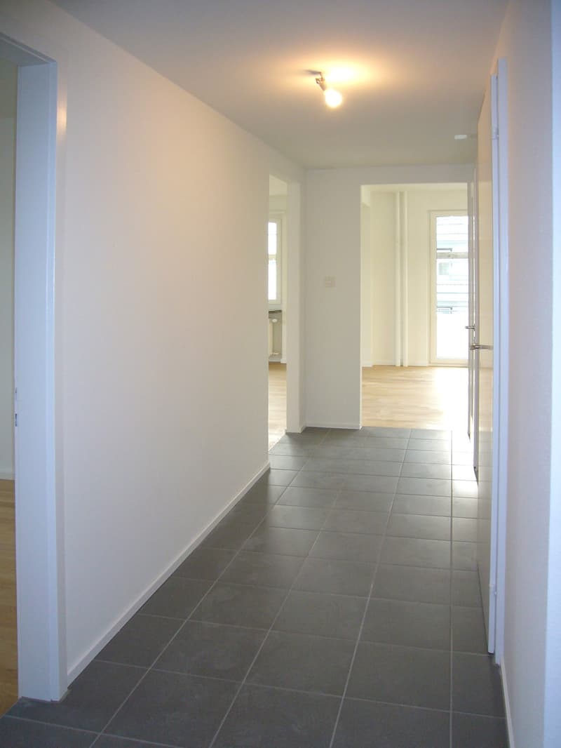 Your new apartment near Sihl (3)