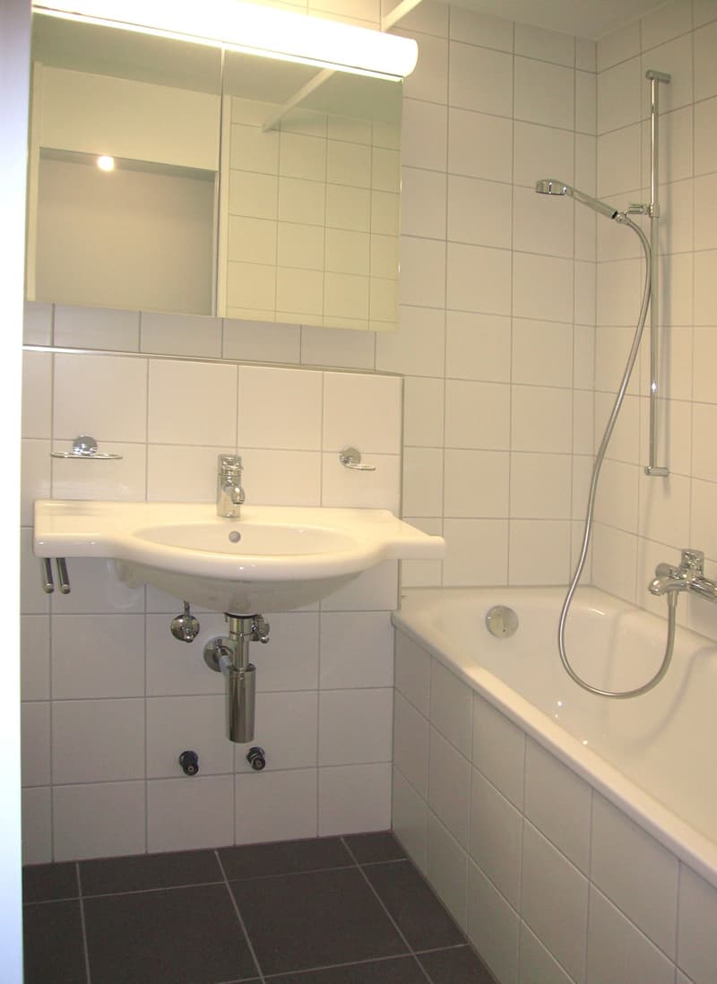 Your new apartment near Sihl (6)