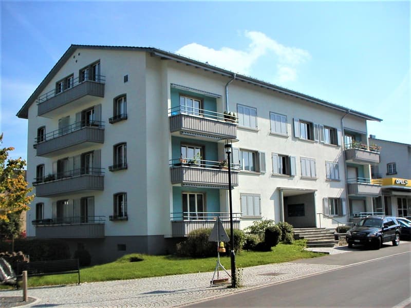 Your new apartment near Sihl (1)