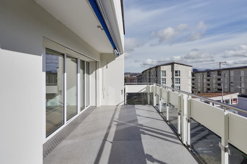 ***PREMIÈRE LOCATION APRÈS RÉNOVATION COMPLÈTE*** (7)
