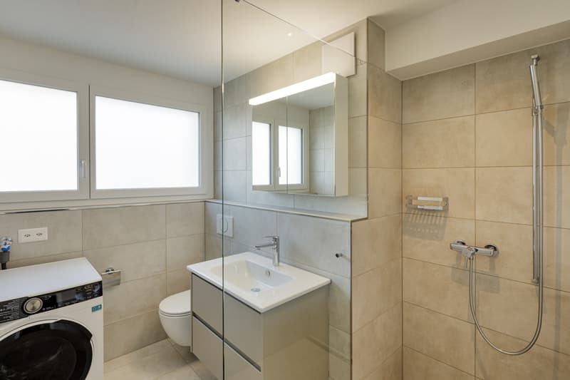 ***PREMIÈRE LOCATION APRÈS RÉNOVATION COMPLÈTE*** (3)