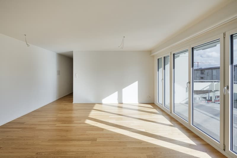 ***PREMIÈRE LOCATION APRÈS RÉNOVATION COMPLÈTE*** (4)