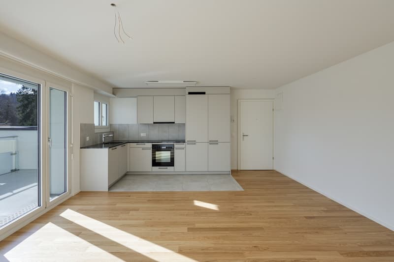 ***PREMIÈRE LOCATION APRÈS RÉNOVATION COMPLÈTE*** (2)